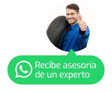 Asesor Multidiagnósticos AS